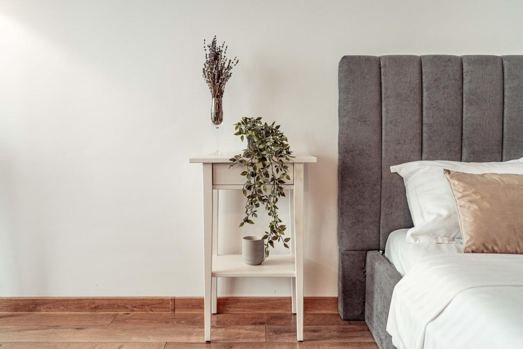 Cozy Apartments At Q Residence - Palas Mall ヤシ エクステリア 写真
